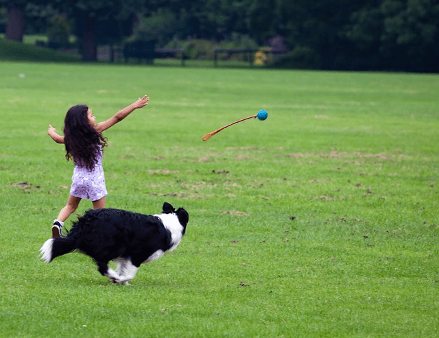 9 Easy Ways for Teens to Make Extra Money with Less Than $50 Pet Sitting or Dog Walking
